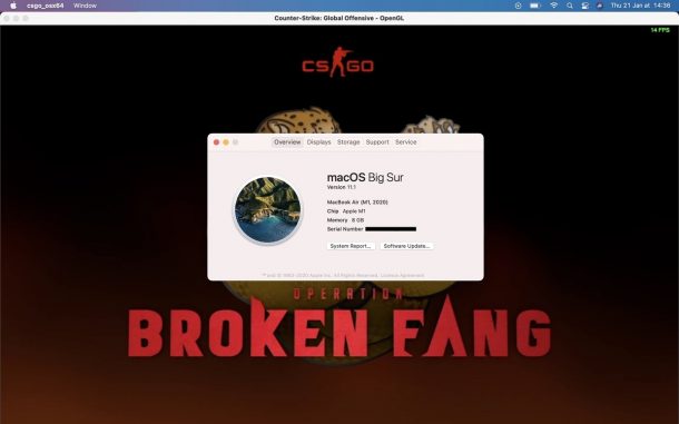 Counter-Strike: Global Offensive on Mac: How to Play & Tests | Mac Gamer HQ