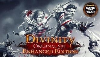 Divinity Original Sin Mac art