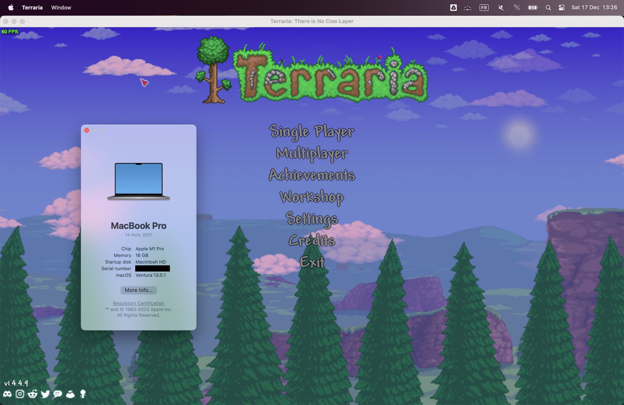 Can You Play Terraria On Mac