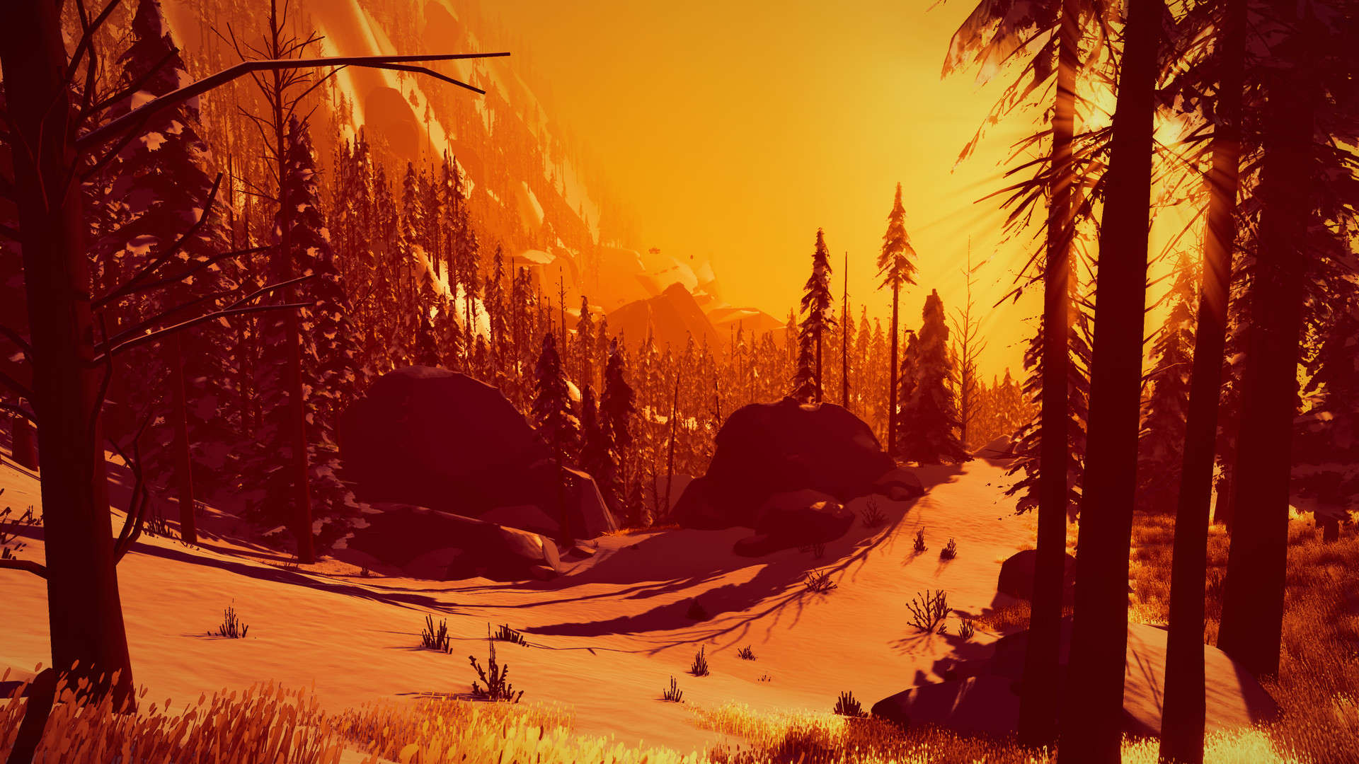 Arctic Awakening